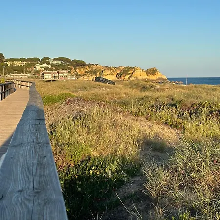 Daire Estudio Azul-t0-torralta- Vista Mar