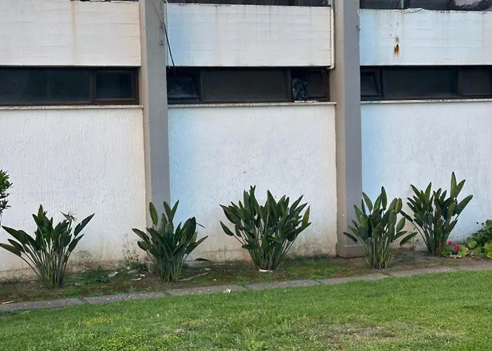 Estudio Azul-t0-torralta- Vista Mar 公寓